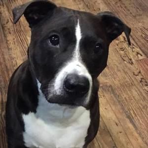 Meet your Posher, Josephandbarbara